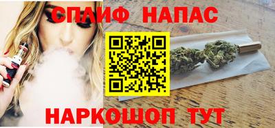 шишки Лесной