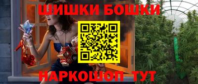 шишки Лесной