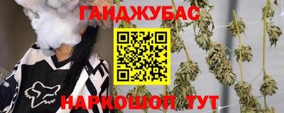 шишки Лесной