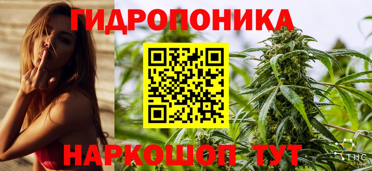 Конопля марихуана Кызыл